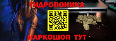 бошки Донской