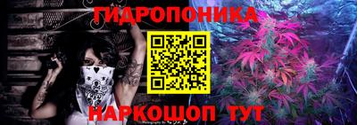 бошки Донской